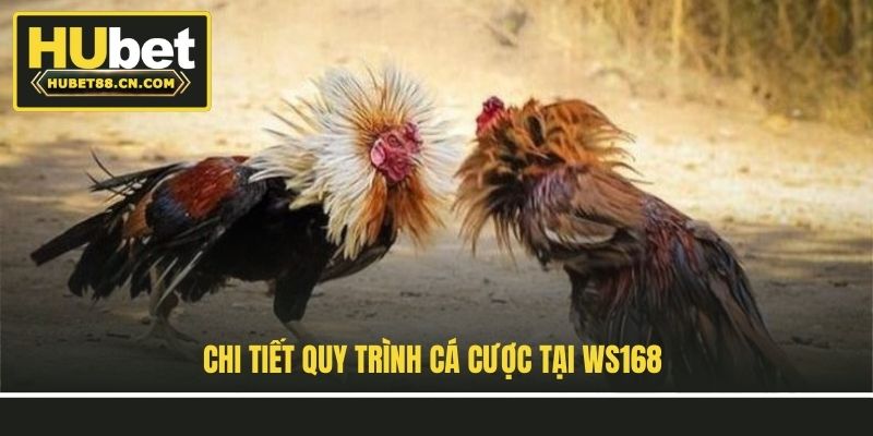 Chi tiết quy trình cá cược tại Ws168 Chi tiết quy trình cá cược tại Ws168