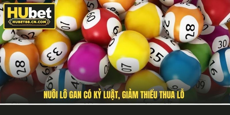 Nuôi lô gan có kỷ luật, giảm thiểu thua lỗ Nuôi lô gan có kỷ luật, giảm thiểu thua lỗ