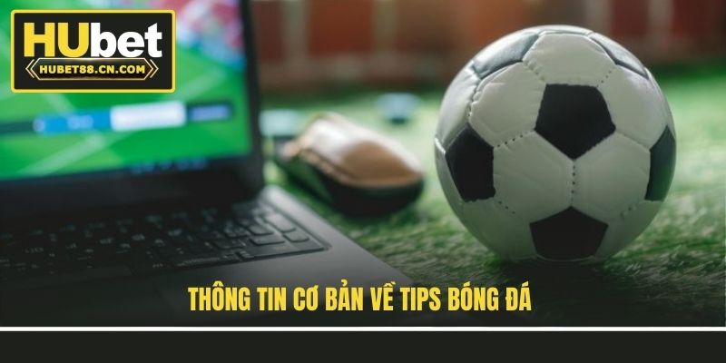 Thông tin cơ bản về tips bóng đá